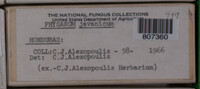 Image Associated With the Occurence